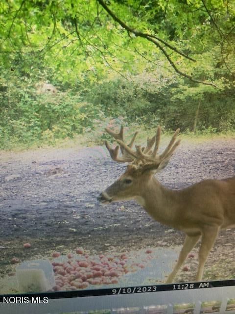 Tiny photo for Eagleville, North Baltimore, OH 45872 (MLS # 10005613)