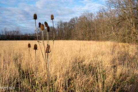 Tiny photo for Eagleville, North Baltimore, OH 45872 (MLS # 10005613)