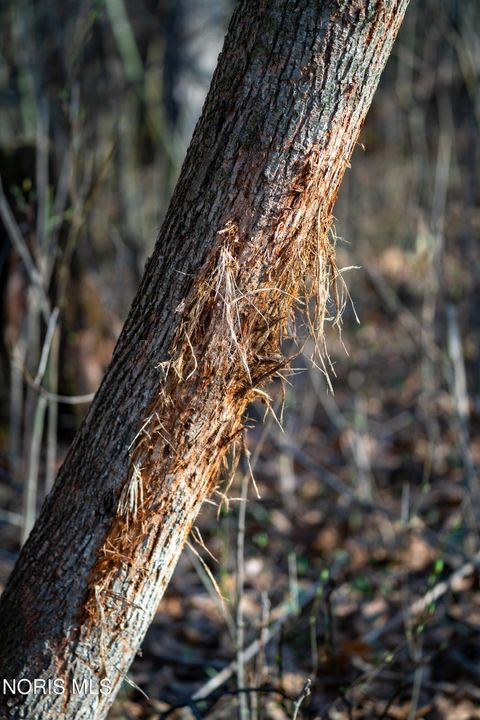 Tiny photo for Eagleville, North Baltimore, OH 45872 (MLS # 10005613)