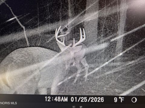 Tiny photo for Eagleville, North Baltimore, OH 45872 (MLS # 10005613)