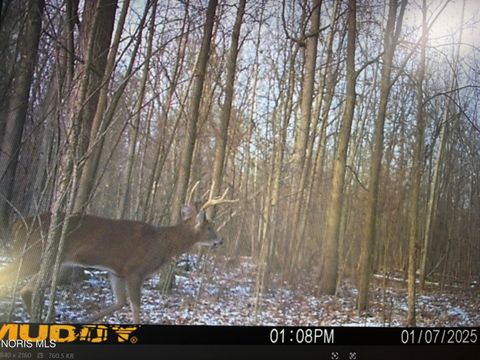 Tiny photo for Eagleville, North Baltimore, OH 45872 (MLS # 10005613)