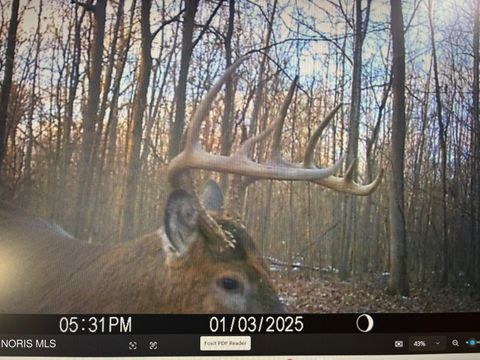 Tiny photo for Eagleville, North Baltimore, OH 45872 (MLS # 10005613)