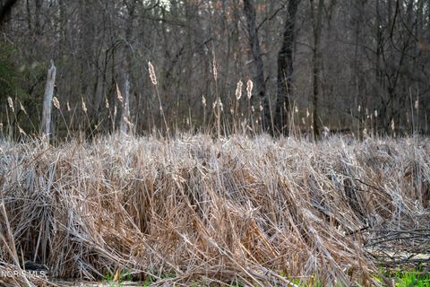 Tiny photo for Eagleville, North Baltimore, OH 45872 (MLS # 10005613)