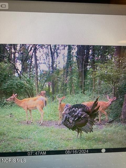 Tiny photo for Eagleville, North Baltimore, OH 45872 (MLS # 10005613)