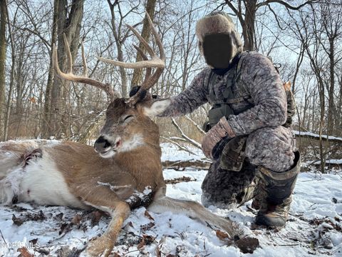 Tiny photo for Eagleville, North Baltimore, OH 45872 (MLS # 10005613)