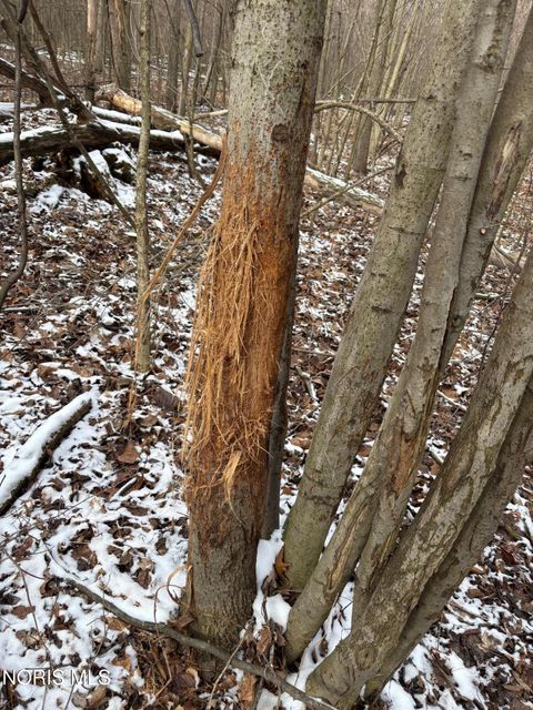 Tiny photo for Eagleville, North Baltimore, OH 45872 (MLS # 10005613)