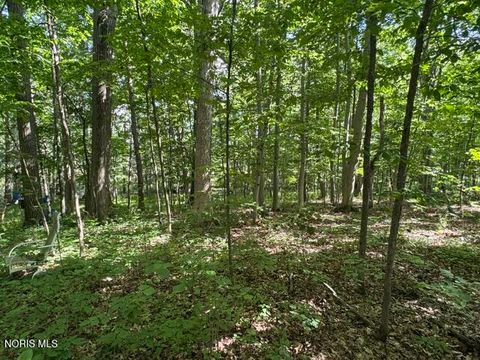 Tiny photo for 9354 Williams County C County Road, Bryan, OH 43506 (MLS # 10009232)