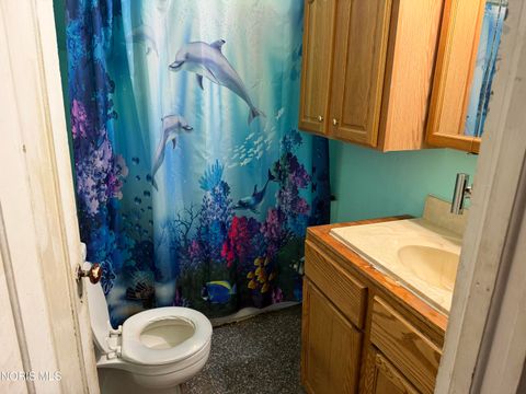 Tiny photo for 11081 County Road U, Napoleon, OH 43545 (MLS # 10007154)