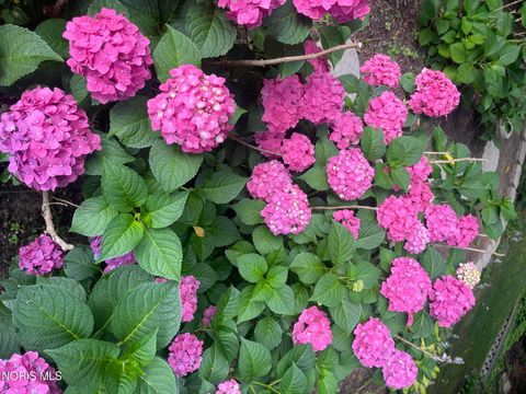 Tiny photo for 4803 Turnbridge Road, Toledo, OH 43623 (MLS # 10004962)