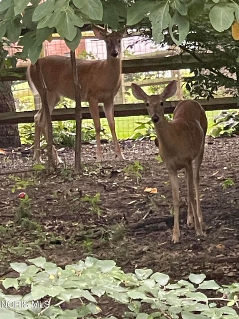 Tiny photo for 4803 Turnbridge Road, Toledo, OH 43623 (MLS # 10004962)