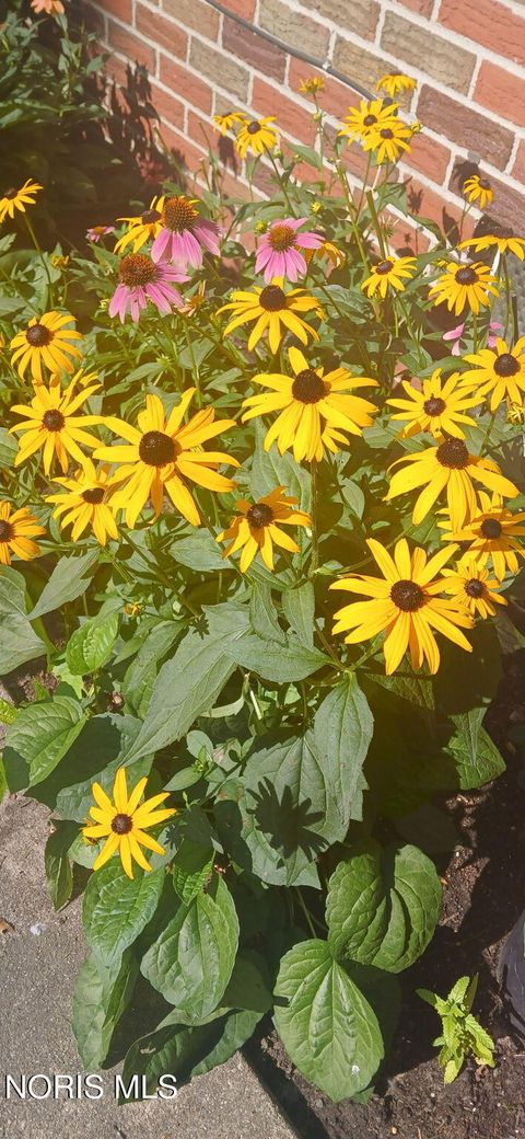 Tiny photo for 4730 Vogel Drive, Toledo, OH 43613 (MLS # 10005226)