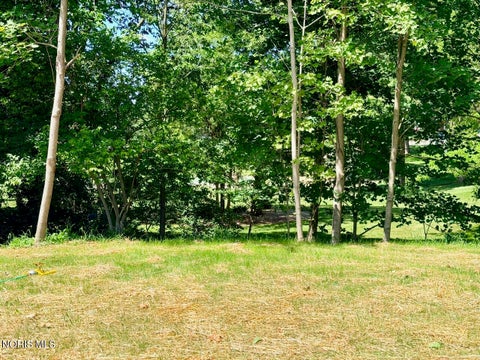 Tiny photo for 111 Oswalt Street, Antwerp, OH 45813 (MLS # 10009148)