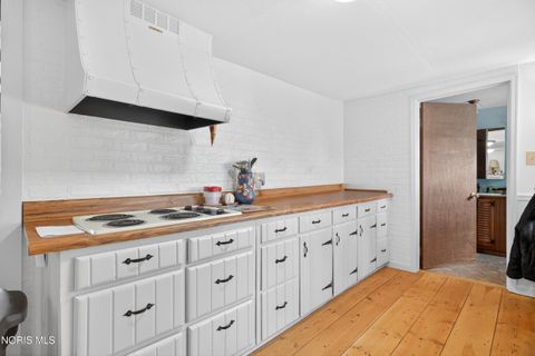 Tiny photo for 250 W Patterson Street, Dunkirk, OH 45836 (MLS # 10007940)