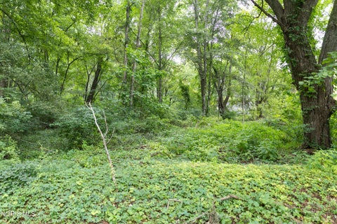 Photo of 6036 Meade Road, Sylvania, OH 43560 (MLS # 10012746)