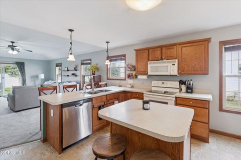 Tiny photo for 27703 Schriber Street, Walbridge, OH 43465 (MLS # 10006042)