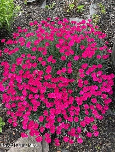 Tiny photo for 307 Murbach Street, Archbold, OH 43502 (MLS # 10002251)