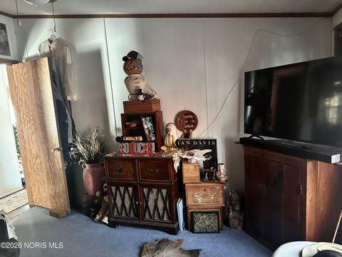 Tiny photo for 314 E Canal Street, Antwerp, OH 45813 (MLS # 10003146)