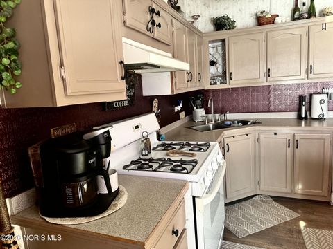 Tiny photo for 314 E Canal Street, Antwerp, OH 45813 (MLS # 10003146)