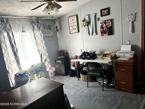 Tiny photo for 314 E Canal Street, Antwerp, OH 45813 (MLS # 10003146)