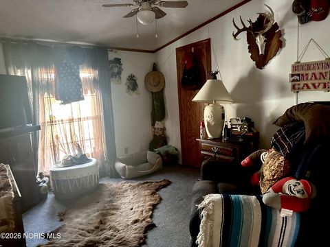 Tiny photo for 314 E Canal Street, Antwerp, OH 45813 (MLS # 10003146)