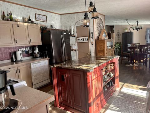 Tiny photo for 314 E Canal Street, Antwerp, OH 45813 (MLS # 10003146)