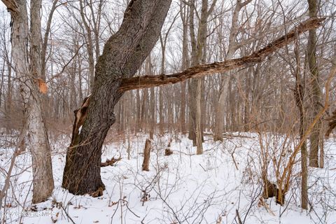 Tiny photo for 6881 County Road B, Delta, OH 43515 (MLS # 10004089)