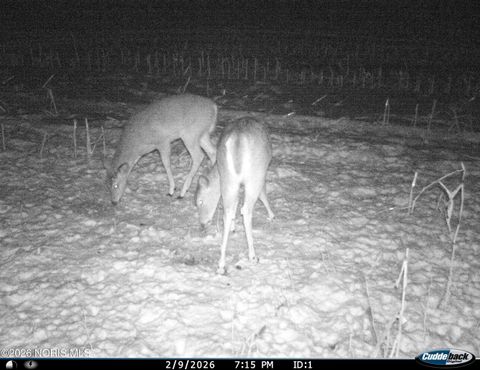 Tiny photo for 6881 County Road B, Delta, OH 43515 (MLS # 10004089)