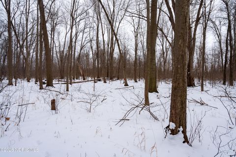 Tiny photo for 6881 County Road B, Delta, OH 43515 (MLS # 10004089)