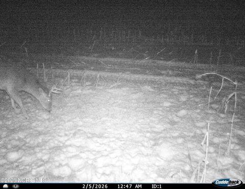 Tiny photo for 6881 County Road B, Delta, OH 43515 (MLS # 10004089)