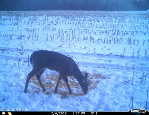 Tiny photo for 6881 County Road B, Delta, OH 43515 (MLS # 10004089)