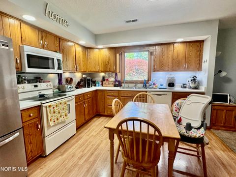 Tiny photo for 119 Millcreek Drive, Hicksville, OH 43526 (MLS # 10010134)