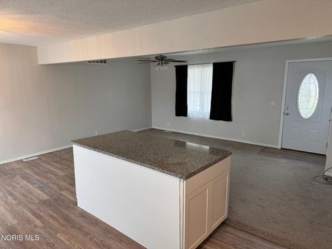 Tiny photo for 10918 Ohio 15, Montpelier, OH 43543 (MLS # 10004980)