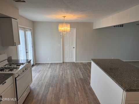 Tiny photo for 10918 Ohio 15, Montpelier, OH 43543 (MLS # 10004980)