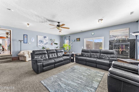 Tiny photo for 969 Oh-590, Graytown, OH 43432 (MLS # 10014264)