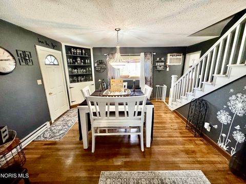 Tiny photo for 1087 N Locust Street, Ottawa, OH 45875 (MLS # 10008162)