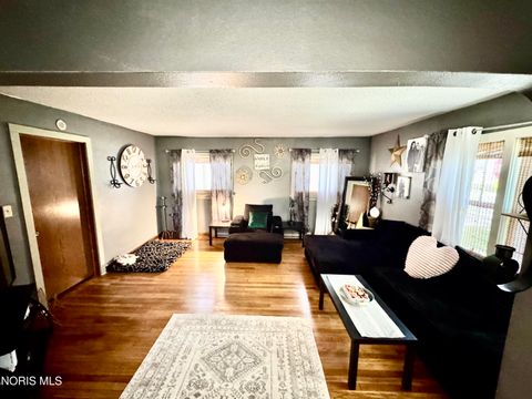 Tiny photo for 1087 N Locust Street, Ottawa, OH 45875 (MLS # 10008162)