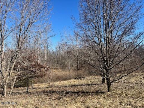 Tiny photo for 8520 Williams County Road 16, Bryan, OH 43506 (MLS # 10004882)