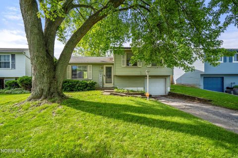Photo of 4833 Catalina Drive, Toledo, OH 43615 (MLS # 10007769)