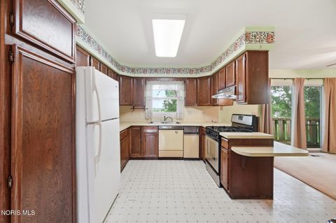 Tiny photo for 220 Barden Street, Lyons, OH 43533 (MLS # 10010836)