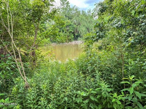 Tiny photo for 15330 W State Route 105, Elmore, OH 43416 (MLS # 10010368)