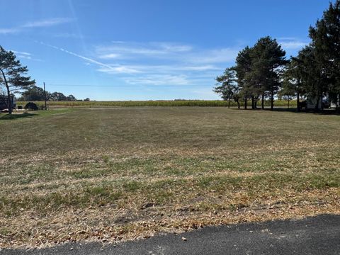 Tiny photo for 0 Elm Street, Dunbridge, OH 43414 (MLS # 10000081)