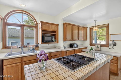 Tiny photo for 915 Washington Street, Genoa, OH 43430 (MLS # 10007737)