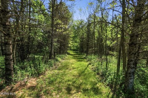Tiny photo for 5354 County Road 3, Swanton, OH 43558 (MLS # 10007532)