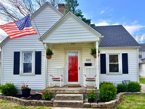 Tiny photo for 525 3rd Street, Findlay, OH 45840 (MLS # 10006302)