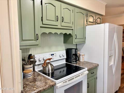 Tiny photo for 525 3rd Street, Findlay, OH 45840 (MLS # 10006302)