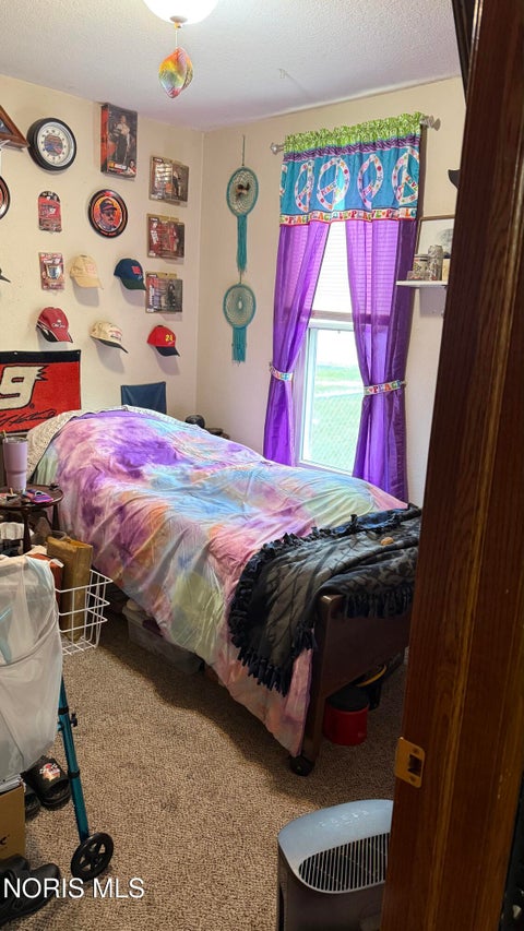 Tiny photo for 409 W Curtis Street, Stryker, OH 43557 (MLS # 10014879)