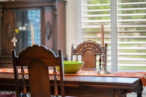 Tiny photo for 10906 Springbrook Court, Whitehouse, OH 43571 (MLS # 10006602)