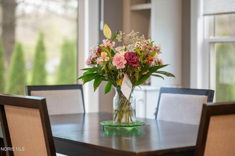 Tiny photo for 10906 Springbrook Court, Whitehouse, OH 43571 (MLS # 10006602)