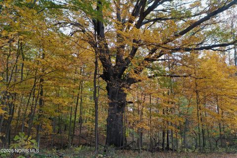 Tiny photo for 1736 Maple Ridge Road, North Fairfield, OH 44855 (MLS # 10001919)