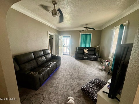 Tiny photo for 427 E Weber Street, Toledo, OH 43608 (MLS # 10012515)